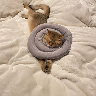 https://yesbedding.co.kr/data/editor/2211/thumb-0741060d93d04b56cd067d0be2f2944e_1668130876_1826_330x330.jpg