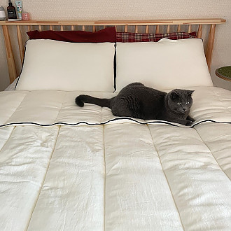 https://yesbedding.co.kr/data/editor/2301/thumb-2c646da6cba68ee3e165e2251ea15c33_1673153764_5844_330x330.jpg