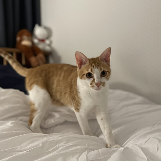 https://yesbedding.co.kr/data/editor/3390/thumb-3698987978_CpZdS6xF_b8170e048c5d99886497934a7eb0eb69_1650546552_4329_330x330.jpg