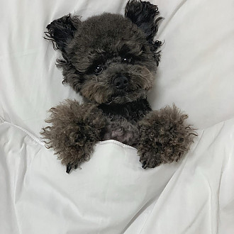 https://yesbedding.co.kr/data/editor/3390/thumb-3698987978_csir0VSb_d00fa126f956ce60a2e2d67ec0c290d6_1651288760_0155_330x330.jpg